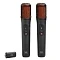 Беспроводной микрофон JBL Easysing Mics (2 шт.) черный (Китай)