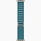 Apple Watch Ultra 3 (2025) GPS + Cellular, 49 мм, корпус из натурального титана, ремешок Alpine (L) цвета light blue (голубой) MEWP4