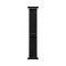 Apple Watch Ultra 3 (2025) GPS + Cellular, 49 мм, корпус из черного титана, ремешок Trail (M/L) цвета black (черный) MF1D4