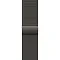 Apple Watch Series 10, 42 мм, корпус из титана цвета сланцевый титан, «миланская петля» сланцевого цвета (MX053)