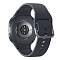Умные часы Samsung Galaxy Watch 8 SM-L320 40мм graphite (графит)