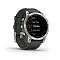 Умные часы  Умные часы Garmin Epix Gen 2 (010-02582-11) grey (серые)