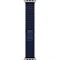 Apple Watch Ultra 2 (2024) GPS + Cellular, 49 мм, корпус из титана, ремешок Trail (S/M) цвета blue (синий) MX4J3