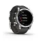 Умные часы  Умные часы Garmin epix (Gen 2) (010-02582-01) Sapphire Steel Gray