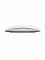 Беспроводная мышь  Беспроводная мышь Apple Magic Mouse Type-C (MXK53AM/A) белая CE