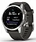 Умные часы  Часы Garmin Fenix 7S silver/graphite (010-02539-00)