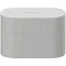 Беспроводные наушники Sony WF-1000XM6 silver (серебро)