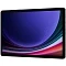 Samsung Galaxy Tab S9 SM-X716 5G 128GB graphite (графит)