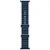 Apple Watch Ultra 2 GPS + Cellular, 49 мм, корпус из титана, ремешок Ocean (One Size) цвета blue (синий)