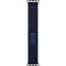 Apple Watch Ultra 2 (2024) GPS + Cellular, 49 мм, корпус из титана, ремешок Trail (M/L) цвета blue (синий)