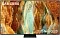 ЖК  85" Телевизор Samsung QE85QN70FAUXRU 2025 черный