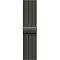 Apple Watch Series 11, 46 мм, корпус из титана цвета «сланец», миланский браслет цвета титановый сланец M/L (MFD44)