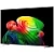 83" Телевизор LG OLED AI 83B6RLA 4K Ultra HD, СМАРТ ТВ, WebOS 120 Гц EAC