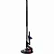 Вертикальный пылесос Dyson SV50 PencilVac (2 насадки) вилка EAC