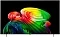 77" Телевизор LG OLED77B6RLA 4K UltraHD Smart TV webOS 120 Гц черный (EAC)