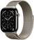 Apple Watch Series 11, 42 мм, корпус из титана цвета «натуральный титан», миланский браслет цвета титан (MF8P4)