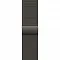 Apple Watch Series 10, 46 мм, корпус из титана цвета «сланцевый титан», спортивный ремешок цвета «миланская петля» сланцевый M/L (MWYW3)